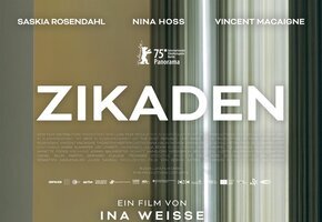 Zikaden