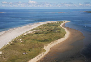 Vogelkundliche F&uuml;hrung