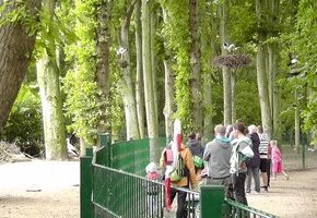 F&uuml;hrungen am Storchenpark & im Andelhof