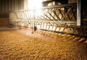 Führung mit kleinem Warehouse Tasting und anschließender Whisky-Verkostung in unserer Whisky Lounge