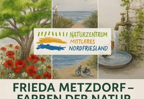 Plakat Metzdorf Frieda