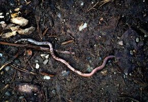 julian-zwengel-nYFZ-Dw_E98-unsplash