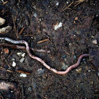 julian-zwengel-nYFZ-Dw_E98-unsplash