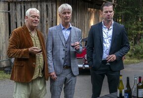 Therapie für Wikinger