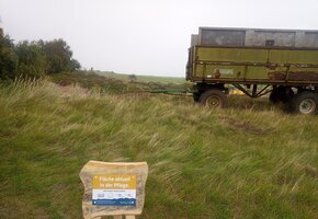 Vortrag: Themenwoche - Landschaftspflege auf Amrum