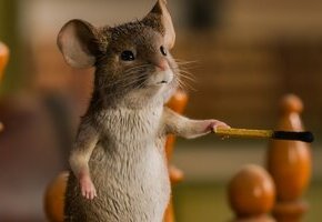 Mission: Mäusejagd - Chaos unterm Weihnachtsbaum