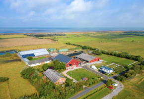 Whisky mit Rückenwind – Deichtour mit Tasting