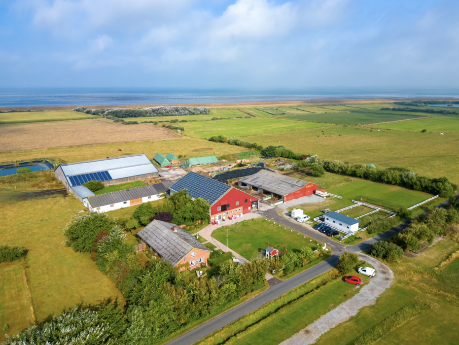 Whisky mit Rückenwind – Deichtour mit Tasting
