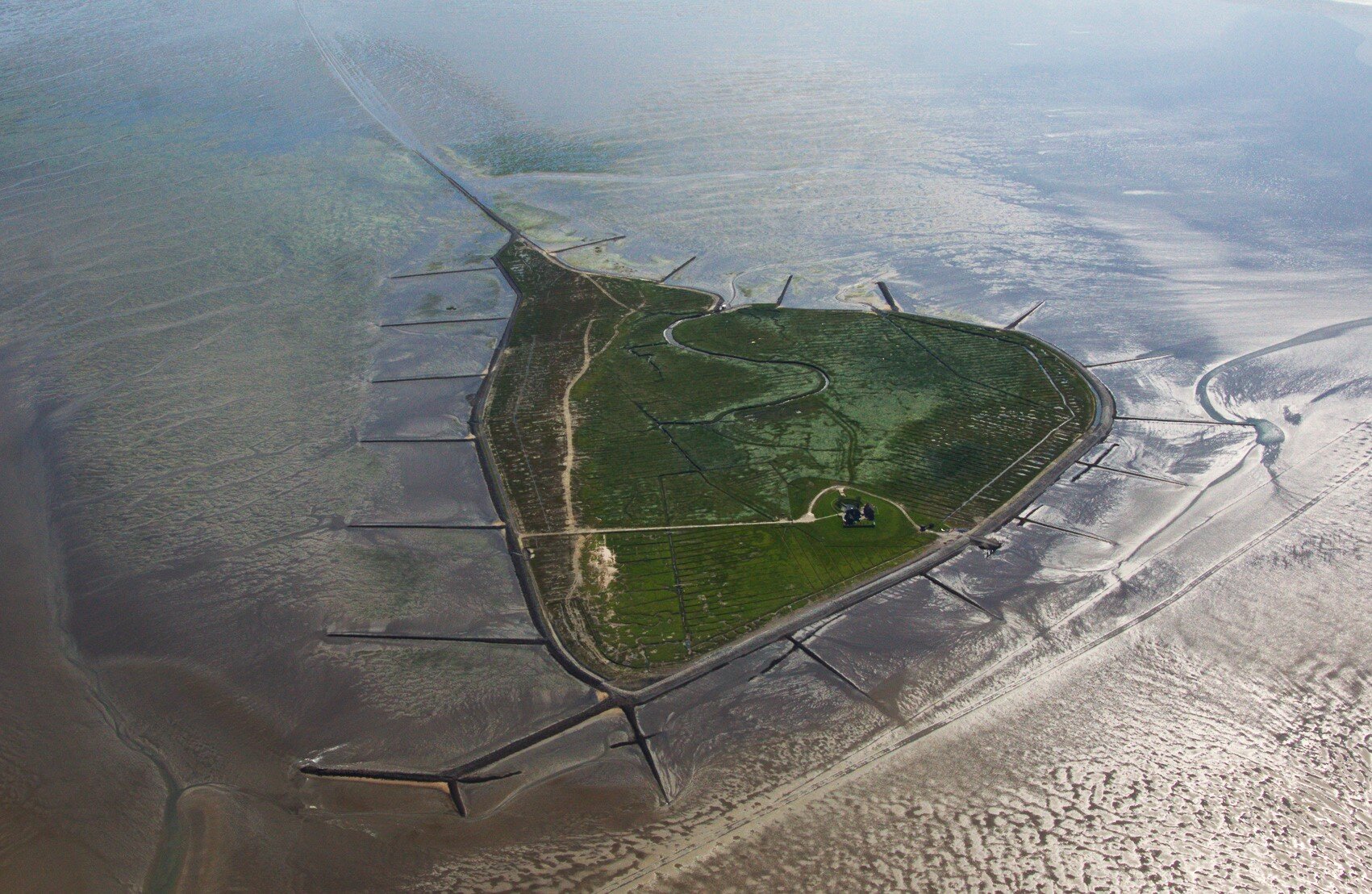 Wattwanderung zur Hallig Südfall – die Oase im Wattenmeer!