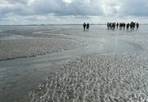 mudflat-hike-57659_1920