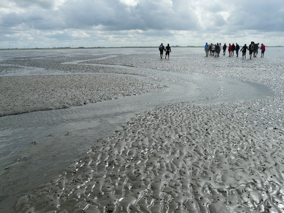 mudflat-hike-57659_1920