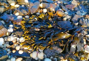 IMG_20250316_174227 Korrektur