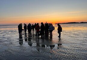 Naturkundliche Wattwanderung zum Sonnenuntergang im Nieblumer Watt