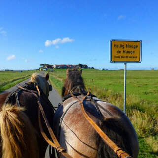 Tagesausflug Hallig Hooge